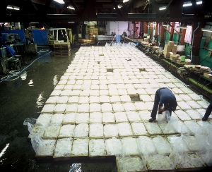 花こがね解凍 花こがね解凍