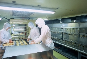 クリーンルーム内 クリーンルーム内